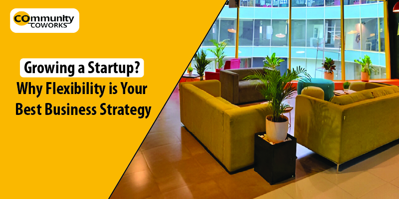 Growing a Startup? Why Flexibility is Your Best Business Strategy 