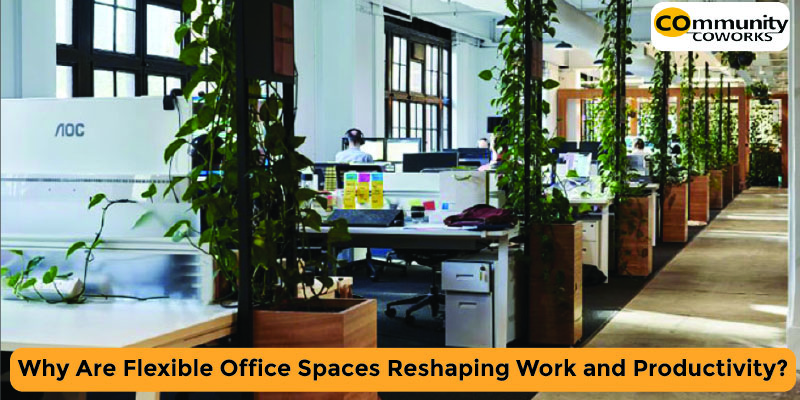 Why Are Flexible Office Spaces Reshaping Work and Productivity